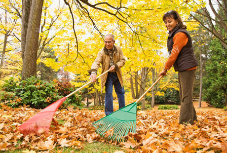 Couple raking leaves